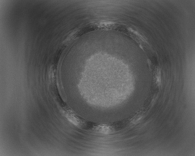 X0000083990276200702232119