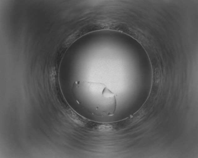 X0000083990279200702232119