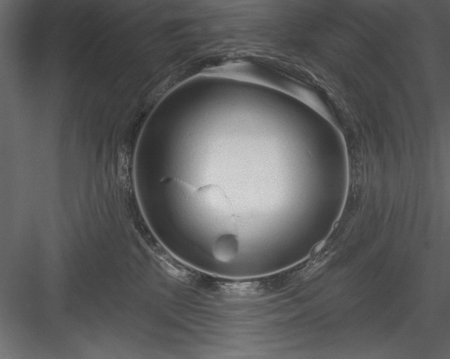 X0000083990281200702232119