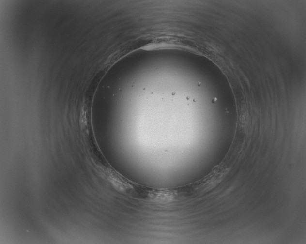 X0000083990282200702232119