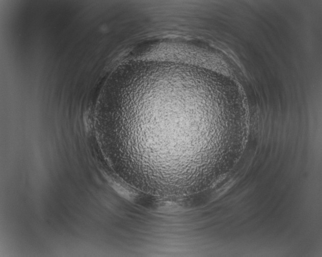 X0000083990285200702232119