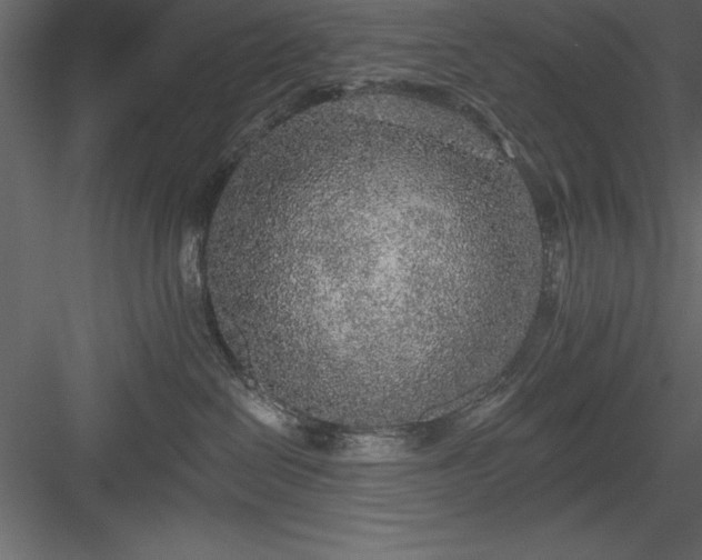 X0000083990286200702232119