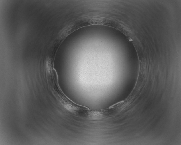 X0000083990287200702232119