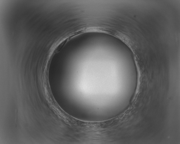 X0000083990289200702232118