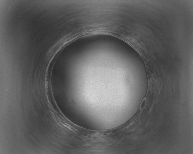 X0000083990290200702232118