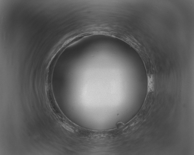 X0000083990291200702232118