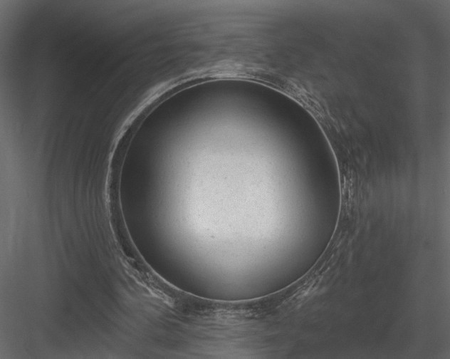 X0000083990292200702232118