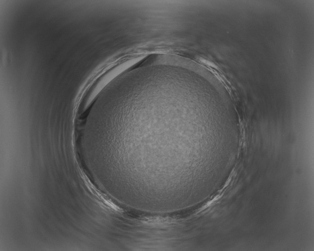 X0000083990293200702232118