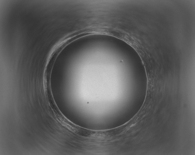 X0000083990294200702232118