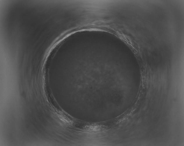 X0000083990295200702232118