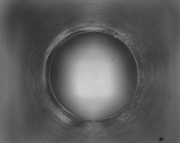 X0000083990296200702232118