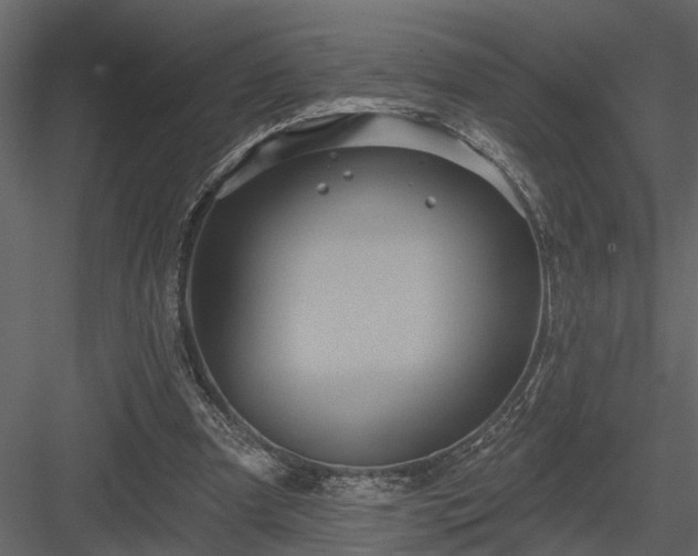 X0000083990297200702232118