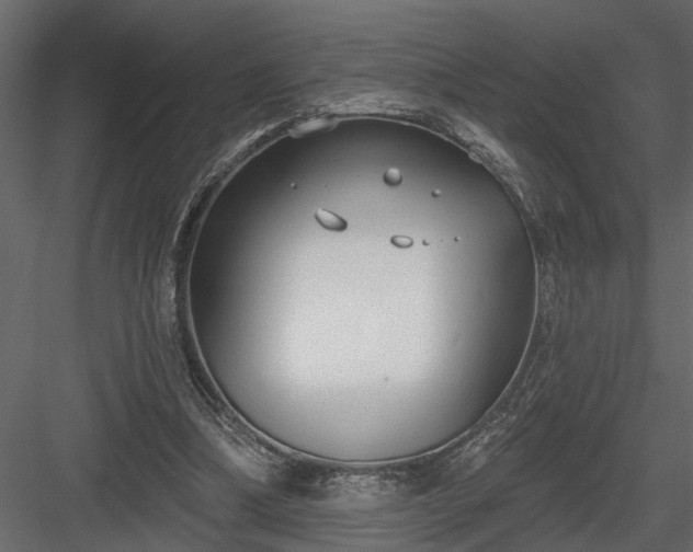 X0000083990298200702232118