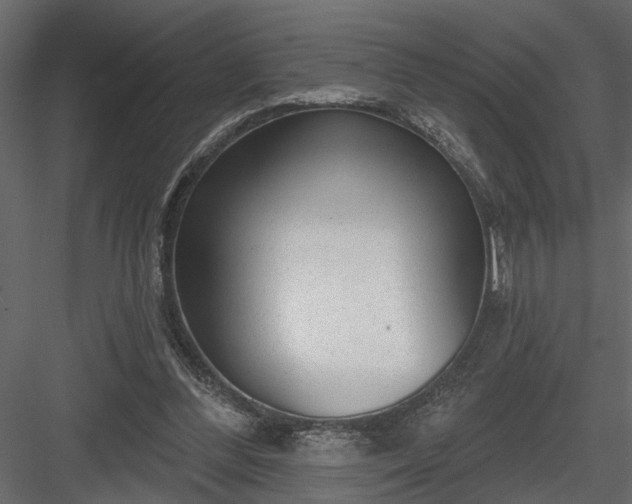 X0000083990300200702232118