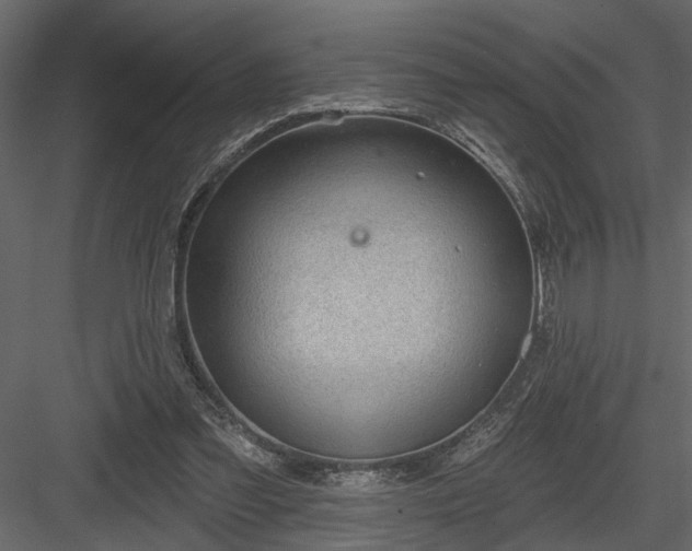 X0000083990301200702232118