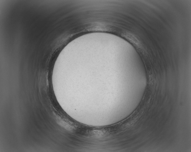 X0000083990302200702232118