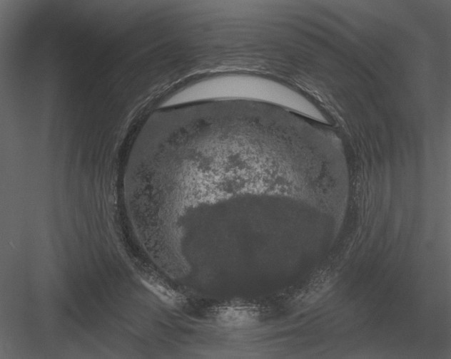 X0000083990303200702232118