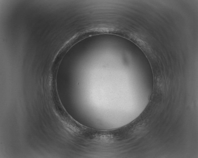 X0000083990304200702232118