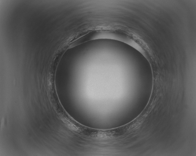 X0000083990305200702232118