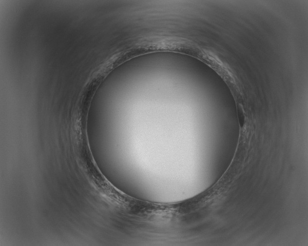 X0000083990306200702232118