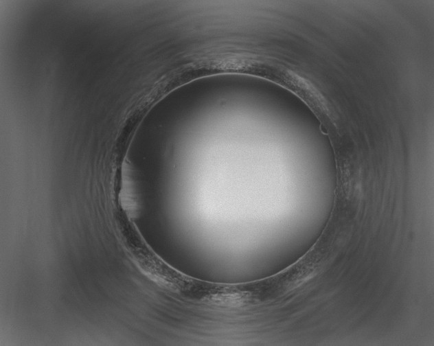 X0000083990307200702232118