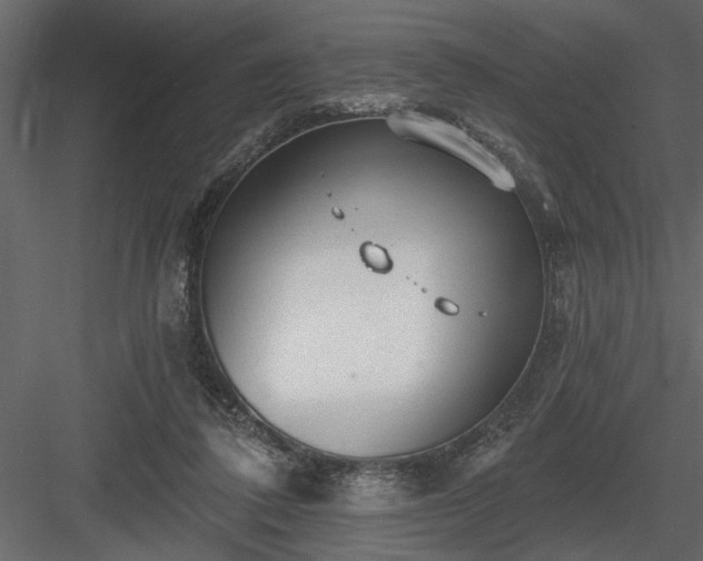 X0000083990308200702232118