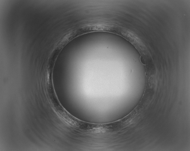 X0000083990310200702232118