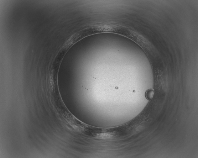 X0000083990312200702232118