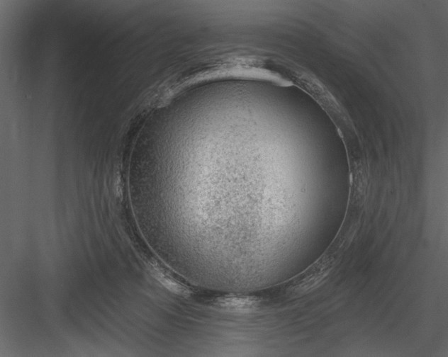 X0000083990313200702232118