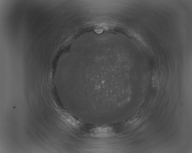 X0000083990314200702232118