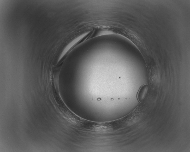 X0000083990315200702232118