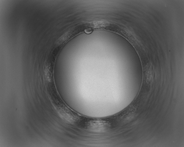 X0000083990316200702232118