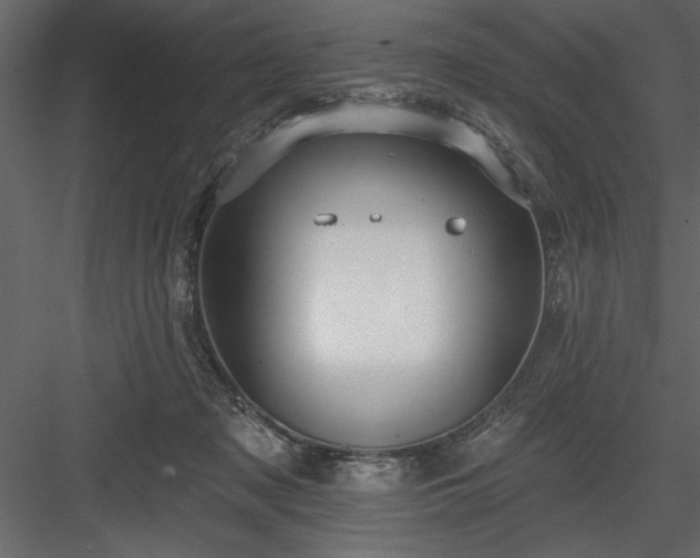 X0000083990317200702232118