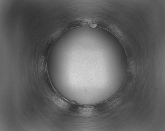 X0000083990318200702232118