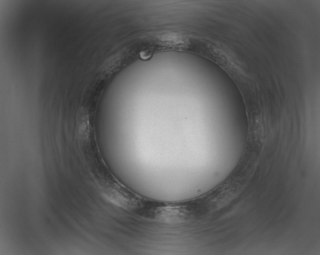 X0000083990320200702232118