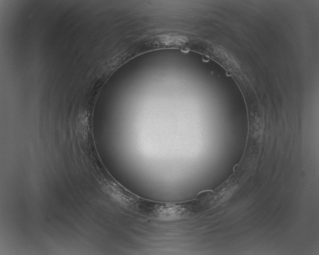 X0000083990321200702232118