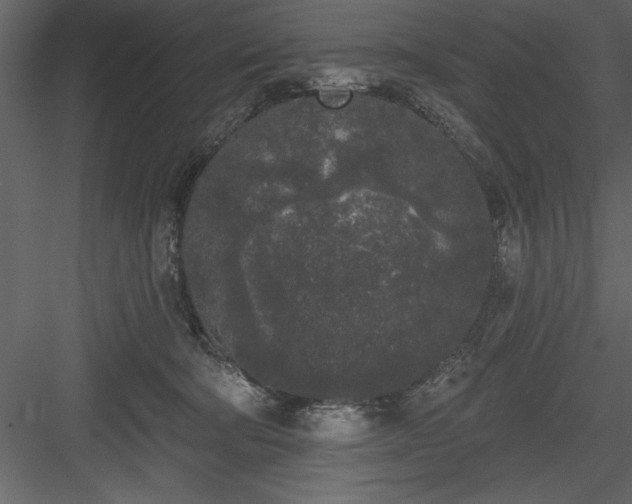 X0000083990322200702232118