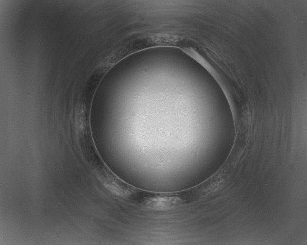 X0000083990323200702232118