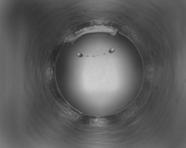 X0000083990324200702232118