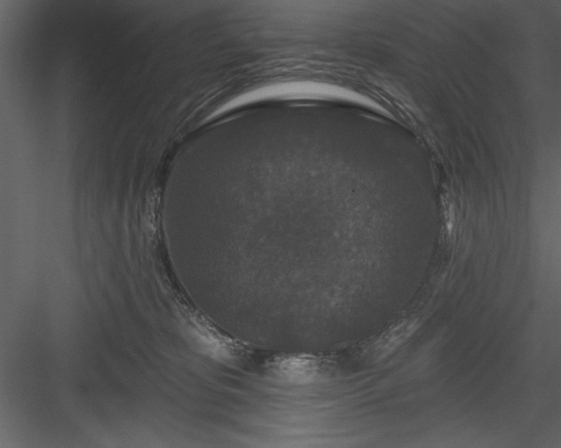 X0000083990325200702232118