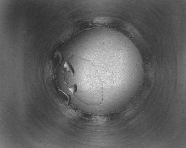 X0000083990328200702232118