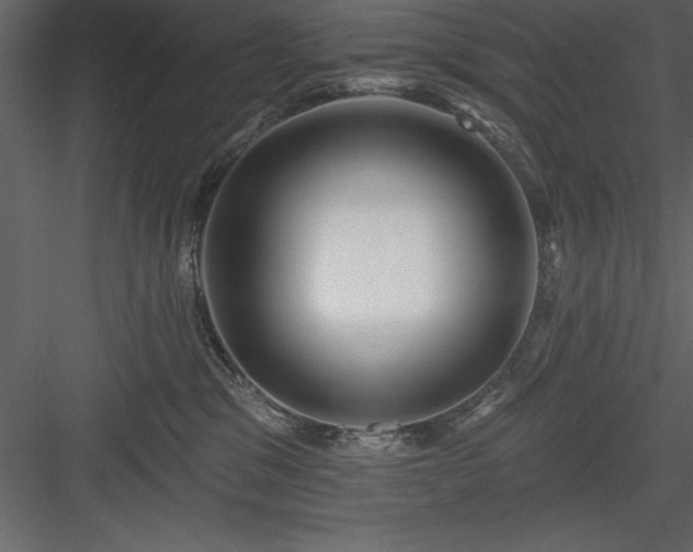 X0000083990329200702232118