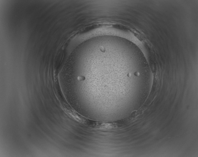 X0000083990330200702232118