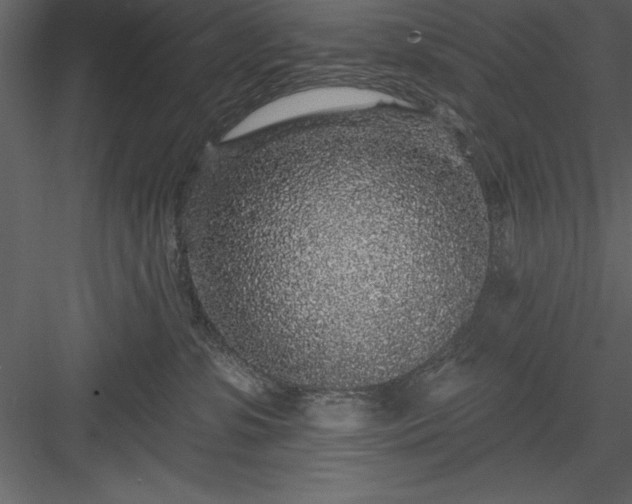 X0000083990331200702232118