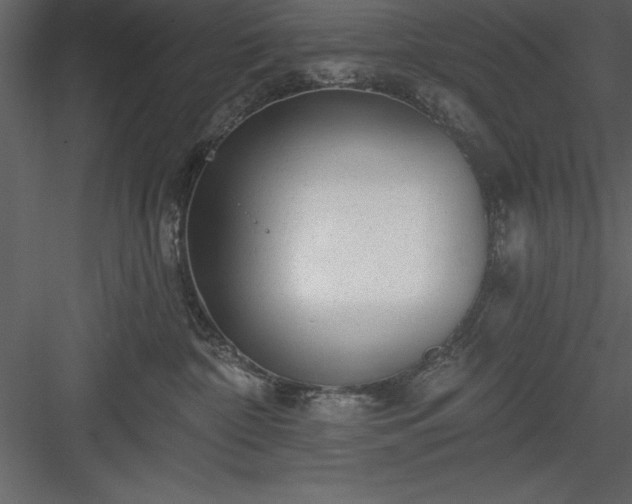 X0000083990332200702232118