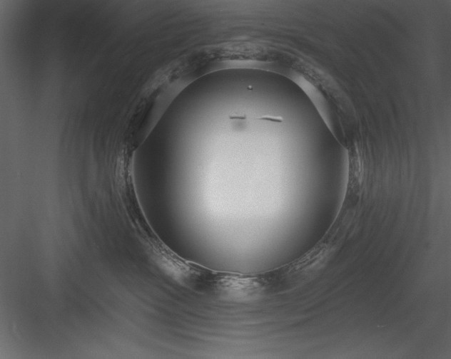 X0000083990333200702232118