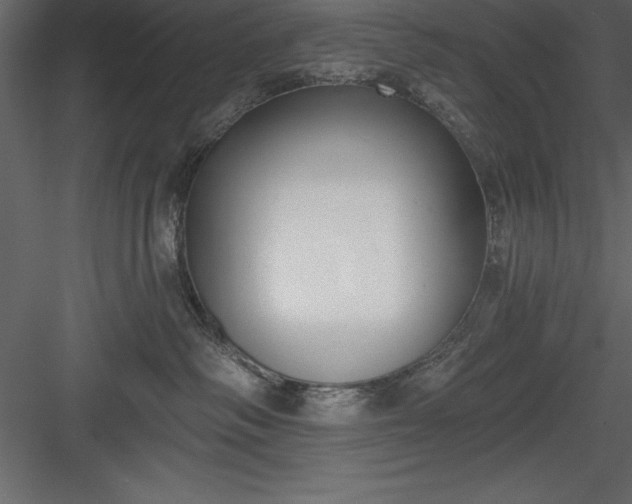 X0000083990334200702232118