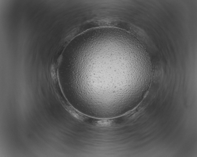 X0000083990335200702232118