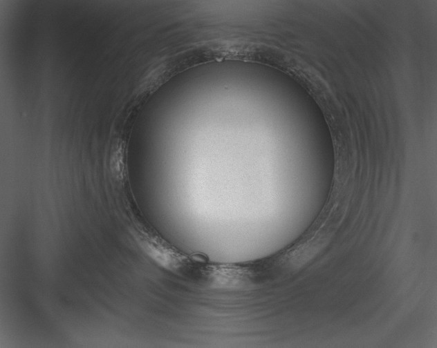 X0000083990336200702232118