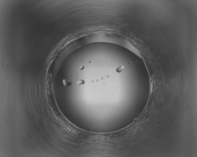 X0000083990339200702232117